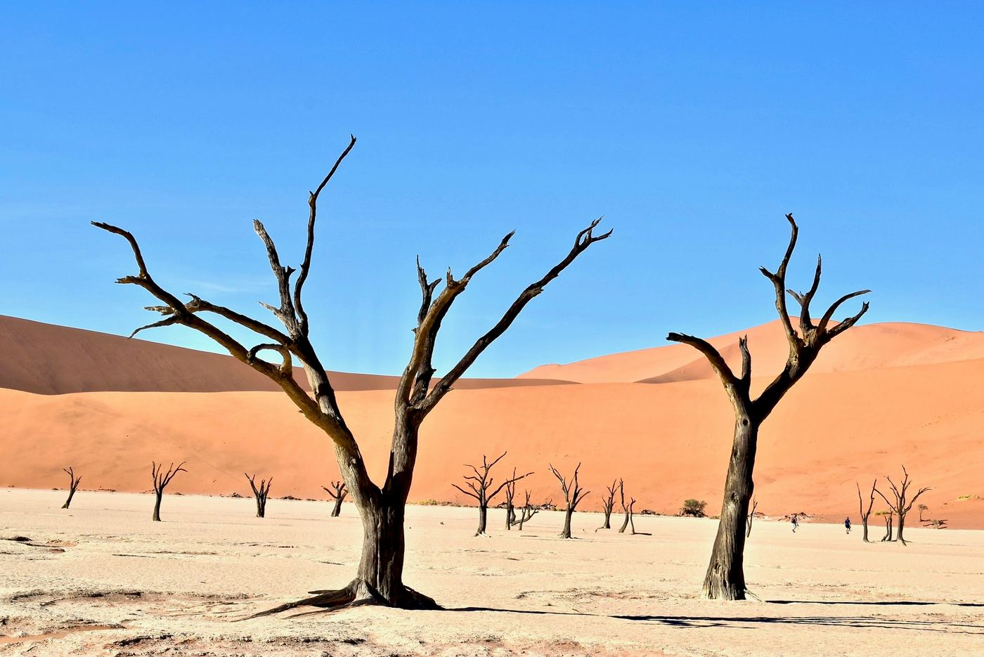 Sossusvlei red dunes Namibia